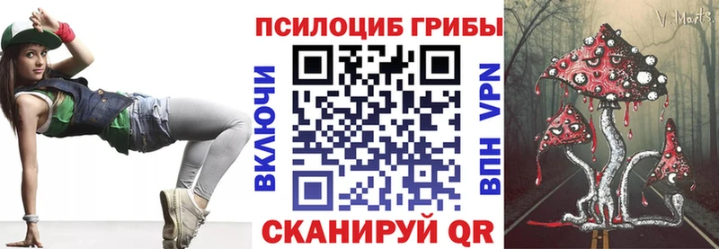 Псилоцибиновые грибы Psilocybe Инсар